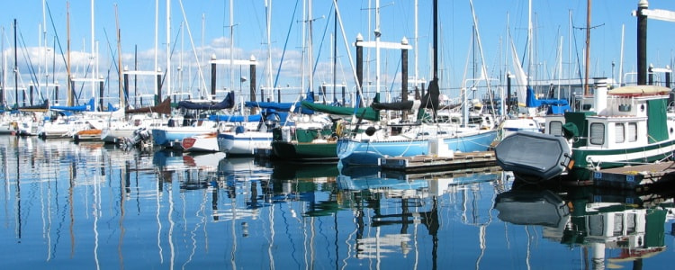 View of a Seattle marina